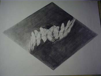 dessin10