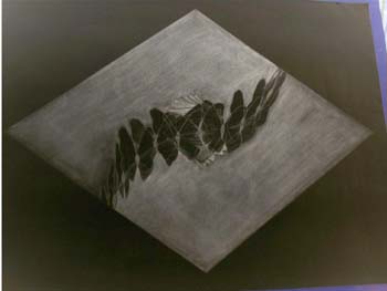 dessin11
